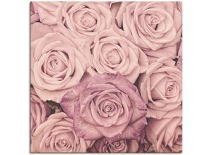 4057738070504 - Wandbild ARTLAND Rosen Bilder Gr B H 100 cm x 100 cm Leinwandbild Blumen 1 St pink Bild Kunstdruck Kunstdrucke Bilder als Leinwandbild Wandaufkleber oder Poster in versch Größen