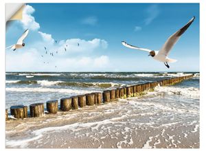 4057738287568 - Wandbild ARTLAND Ostsee Bilder Gr B H 60 cm x 45 cm Wandaufkleber - Vinyl Gewässer Querformat 1 St blau Bild Metallbild Metallbilder Bilder als Alubild Leinwandbild Wandaufkleber oder Poster in versch Größen