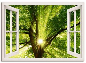 4057738334354 - Wandbild ARTLAND Fensterblick Sonne strahlt durch Baum Bilder Gr B H 70 cm x 50 cm Leinwandbild Bäume Querformat 1 St weiß Bild Poster Bilder als Leinwandbild Wandaufkleber oder in versch Größen