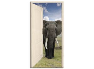 4057738346678 - Wandbild ARTLAND Offene weiße Türe mit Blick auf Elefant Bilder Gr B H 50 cm x 100 cm Leinwandbild Wildtiere Hochformat 1 St grau Bild Poster Bilder als Alubild Leinwandbild Wandaufkleber oder in versch Größen