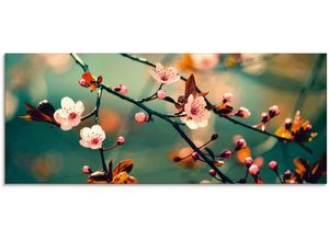 4057738350460 - Glasbild ARTLAND Japanische Kirsch Sakura Blumen Bilder Gr B H 125 cm x 50 cm Glasbild Blumen 1 St blau Glasbilder in verschiedenen Größen