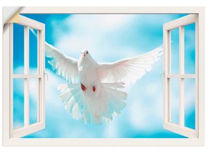 4057738352082 - Wandbild ARTLAND Fensterblick Taube vor der Sonne Bilder Gr B H 70 cm x 50 cm Wandaufkleber - Vinyl Vögel Querformat 1 St weiß Bild Leinwandbild Kunstdrucke Bilder als Alubild Leinwandbild Wandaufkleber oder Poster in versch Größen