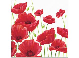 4057738399179 - Wandbild ARTLAND Rote Mohnblumen I Bilder Gr B H 70 cm x 70 cm Alu-Dibond-Druck Blumen 1 St rot Bild Leinwandbild Kunstdrucke Bilder als Alubild Leinwandbild Wandaufkleber oder Poster in versch Größen