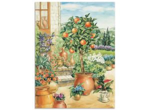 4057738407560 - Wandbild ARTLAND Orangenbaum im Garten Bilder Gr B H 90 cm x 120 cm Alu-Dibond-Druck Garten 1 St grün Bild Poster Bilder als Alubild Leinwandbild Wandaufkleber oder in versch Größen