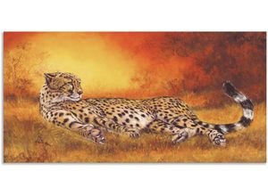 4057738420903 - Wandbild ARTLAND Gepard Bilder Gr B H 150 cm x 75 cm Alu-Dibond-Druck Geparden Bilder Querformat 1 St orange Kunstdrucke als Alubild Leinwandbild Wandaufkleber oder Poster in versch Größen