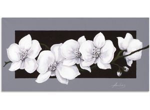 4057738422778 - Wandbild ARTLAND Weiße Orchideen auf grau Bilder Gr B H 100 cm x 50 cm Alu-Dibond-Druck Blumen 1 St schwarz Bild Leinwandbild Kunstdrucke Bilder als Alubild Leinwandbild Wandaufkleber oder Poster in versch Größen