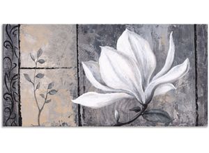 4057738422822 - Wandbild ARTLAND Klassische Magnolie Bilder Gr B H 100 cm x 50 cm Alu-Dibond-Druck Blumen 1 St schwarz Bild Poster Bilder als Alubild Leinwandbild Wandaufkleber oder in versch Größen