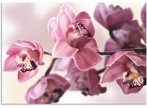 4057738427537 - Wandbild ARTLAND Rosa Orchidee Bilder Gr B H 100 cm x 70 cm Alu-Dibond-Druck Blumenbilder Querformat 1 St pink Kunstdrucke als Alubild Leinwandbild Wandaufkleber oder Poster in versch Größen