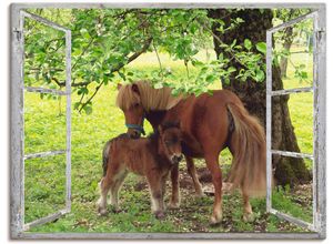 4057738830061 - Wandbild ARTLAND Fensterblick - Pony mit Kind Bilder Gr B H 120 cm x 90 cm Leinwandbild Haustiere 1 St grün Bild Kunstdruck Kunstdrucke Bilder als Alubild Leinwandbild Wandaufkleber oder Poster in versch Größen