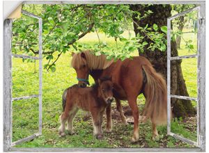 4057738830115 - Wandbild ARTLAND Fensterblick - Pony mit Kind Bilder Gr B H 120 cm x 90 cm Wandaufkleber - Vinyl Haustiere 1 St grün Bild Kunstdruck Kunstdrucke Bilder als Alubild Leinwandbild Wandaufkleber oder Poster in versch Größen