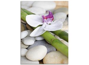 4057738843924 - Glasbild ARTLAND Zen Orchidee Bilder Gr B H 60 cm x 80 cm Glasbild Zen Hochformat 1 St weiß Bild Glasbild Glasbilder Bilder in verschiedenen Größen