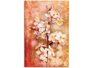 4057738962793 - Wandbild ARTLAND Kirschblüten Bilder Gr B H 60 cm x 90 cm Leinwandbild Blumen 1 St orange Kunstdrucke Bilder als Alubild Leinwandbild Wandaufkleber oder Poster in versch Größen