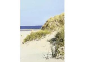 4057745185758 - Küchenrückwand WandArt easy 120 x 585 cm 3 mm summer dune