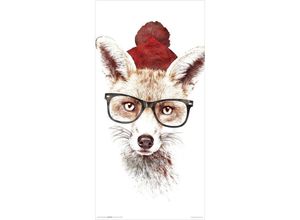 4057786225871 - - Hipster Fox Kunstdruck Robert Farkas Its pretty cold outside