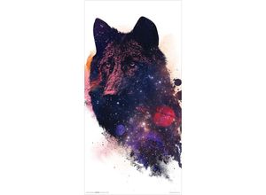 4057786225888 - - Wolf Universe Kunstdruck Robert Farkas