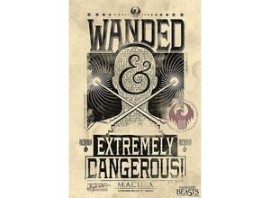 4057786349836 - Fantastic Beasts Poster Wanded & Extremely Dangerous Newt Scamander