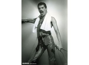 4057786530685 - - Queen Poster Freddie Mercury