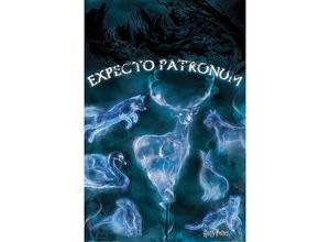 4057786538001 - - Harry Potter Poster Expecto Patronus Patronus Gestalten