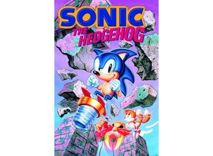 4057786876295 - - Sonic the Hedgehog Poster Break Through Rocks