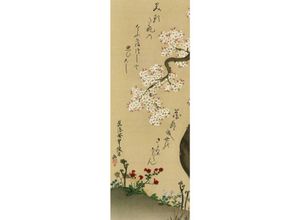 4057786988639 - - Cherry Blossom Kunstdruck Ogata Kenzan Papier 250 gr matt