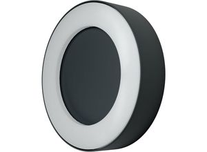 4058075205215 - Led Wand- und Deckenleuchte Leuchte für Außenanwendungen Warmweiß 2020 mm x 450 mm endura style ring - Dunkelgrau - Ledvance