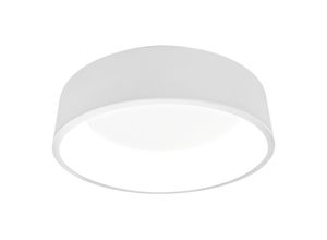 4058075486560 - Ledvance Smarte led Wand-und Deckenleuchte für Innen mit WiFi Technologie Lichtfarbe änderbar (3000K-6500K) Weiss 450mm Kompatibel mit Google und