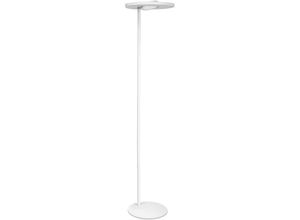 4058075575899 - Ledvance - sun@home led Stehlampe weiß mit wifi 40cm breit und 180cm hoch 41W 2000 Lm Sonnenlicht bis Kaminfeuer(2200-5000K) CRI95 Standlicht