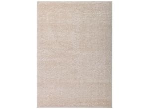 4058166280794 - Hochflor Teppich sofi Farbe Beige Größe 110 x 60 cm Teppich Hochflorteppich Flor Wohnzimmer - Home Deluxe