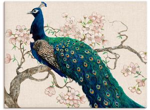 4058661322692 - Wandbild ARTLAND Pfau & Blüten II Bilder Gr B H 80 cm x 60 cm Leinwandbild Vögel Querformat 1 St beige (naturfarben) Bild Poster Bilder als Alubild Leinwandbild Wandaufkleber oder in versch Größen
