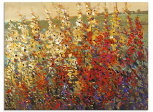 4058661338228 - Glasbild ARTLAND Feld mit Herbstblumen I Bilder Gr B H 80 cm x 60 cm Glasbild Blumenwiese Querformat 1 St rot Bild Glasbild Glasbilder Bilder in verschiedenen Größen