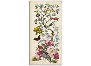 4058661372536 - Wandbild ARTLAND Chinoiserie Natur II Bilder Gr B H 75 cm x 150 cm Leinwandbild Pflanzen Hochformat 1 St beige (naturfarben) Bild Metallbild Metallbilder Bilder als Alubild Leinwandbild Wandaufkleber oder Poster in versch Größen