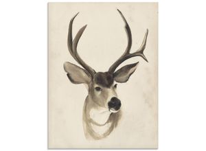 4058661379122 - Glasbild ARTLAND Wasserfarben Tierlehre II Bilder Gr B H 45 cm x 60 cm Glasbild Wildtiere Hochformat 1 St beige (naturfarben) Bild Glasbild Glasbilder Bilder in verschiedenen Größen