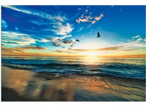 4058661454263 - Wandbild ARTLAND Strand Möwen Meer Sonnenuntergang Bilder Gr B H 90 cm x 60 cm Alu-Dibond-Druck Sonnenaufgang & -untergang 1 St blau Bild Kunstdruck Kunstdrucke Bilder als Alubild Leinwandbild Wandaufkleber oder Poster in versch Größen