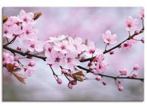 4058661461636 - Wandbild ARTLAND Kirschblüten Bilder Gr B H 90 cm x 60 cm Leinwandbild Blumen Querformat 1 St pink Bild Poster Bilder als Alubild Leinwandbild Wandaufkleber oder in versch Größen