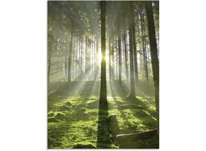 4058661597458 - Glasbild ARTLAND Wald im Gegenlicht Bilder Gr B H 60 cm x 80 cm Glasbild Wald 1 St grün Glasbilder in verschiedenen Größen