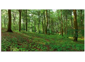 4058661629470 - Glasbild ARTLAND Panorama von einem grünen Sommerwald Bilder Gr B H 100 cm x 50 cm Glasbild Wald 1 St grün Glasbilder in verschiedenen Größen