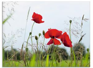 4058661658395 - Glasbild ARTLAND Mohnblumen Bilder Gr B H 60 cm x 45 cm Glasbild Blumen Querformat 1 St rot Bild Glasbild Glasbilder Bilder in verschiedenen Größen