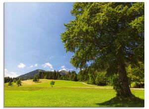 4058661671530 - Glasbild ARTLAND Bayrische Landschaft Bilder Gr B H 60 cm x 45 cm Glasbild Wiesen & Bäume Querformat 1 St grün Bild Glasbild Glasbilder Bilder in verschiedenen Größen