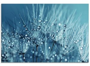 4058661673411 - Glasbild ARTLAND Blaue glitzernde Pusteblume Bilder Gr B H 60 cm x 45 cm Glasbild Blumen Querformat 1 St blau Bild Glasbild Glasbilder Bilder in verschiedenen Größen