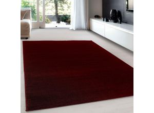 4058819080702 - Teppich AYYILDIZ TEPPICHE ATA Teppiche Gr B L 200 cm x 290 cm 10 mm 1 St rot Esszimmerteppiche Kurzflor uni große Farbauswahl robust auch als Läufer und in rund