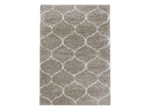 4058819099766 - Teppich SALSA 3201 BEIGE 120 x 170 cm