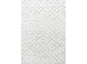 4058819120248 - Webteppich Pisa 4708 Creme ca 80x150cm