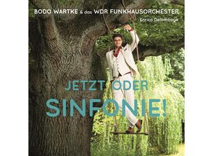 4058878114233 - Jetzt Oder Sinfonie ! (Vinyl) - Bodo Wartke & das WDR Funkhausorchester (LP)