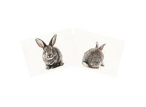 4058896305255 - Canvas-Coupon Hase natur