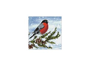 4058896340614 - Diamantenstickerei-Set Wintervogel 20 x 20 cm