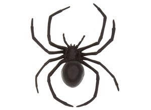 4058896349426 - Spinne schwarz