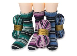 4058896351184 - Sockenwollpaket Asheville 300 g