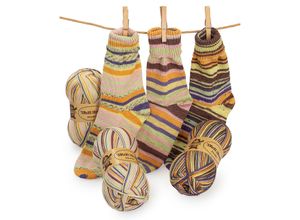 4058896360421 - Sockenwollpaket Doolin 300 g