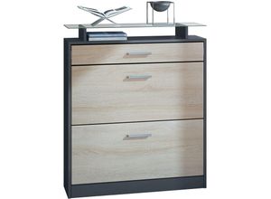 4058905246791 - Schuhschrank Schuhkipper Schuh Regal Loret Anthrazit matt – Hochglanz Matt Natur - Fronten in Eiche sägerau ohne led Beleuchtung - Fronten in Eiche