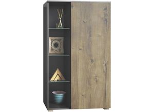 4058905260933 - Standvitrine Highboard Hochschrank Glas Davos Anthrazit - Hochglanz & Naturtöne - Eiche Ribbeck - Eiche Ribbeck - Vladon